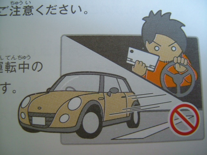 Illustration for article titled Hey Dummy, Don't Microwave The DSi (And Other Nintendo Tips)